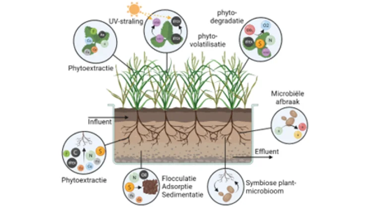 HMVT has room for internships again!